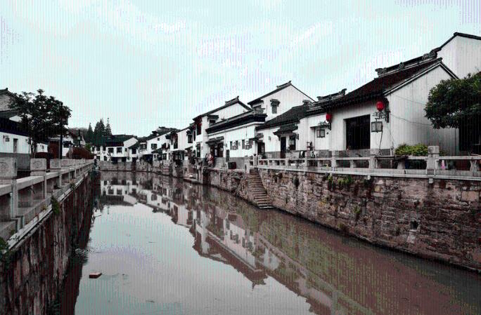 春雨直播app